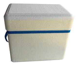 Imagem do produto Caixa Térmica Isopor 21l Com Alca Knauf