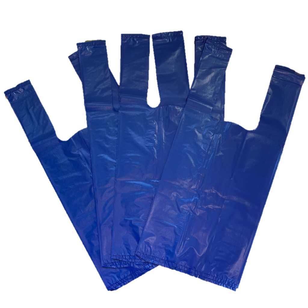 Imagem do produto Sacola Reforcada Plask 25x35x00040 1kg - Azul