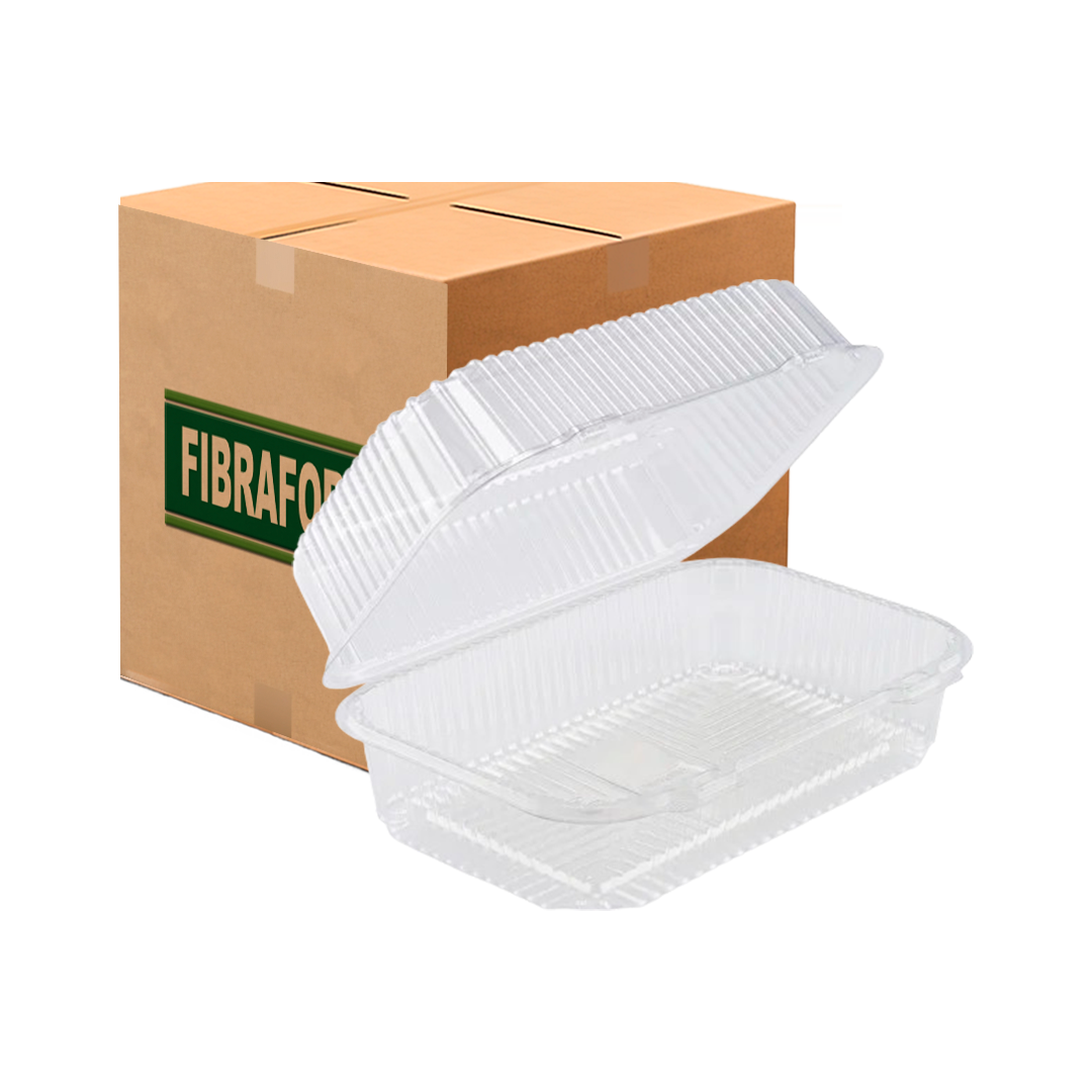 Imagem do produto Embalagem Artf20 Caixa Com 100 Fibraform