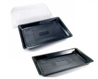 Imagem do produto Embalagem Sushi Ii Com 100 Praticpack