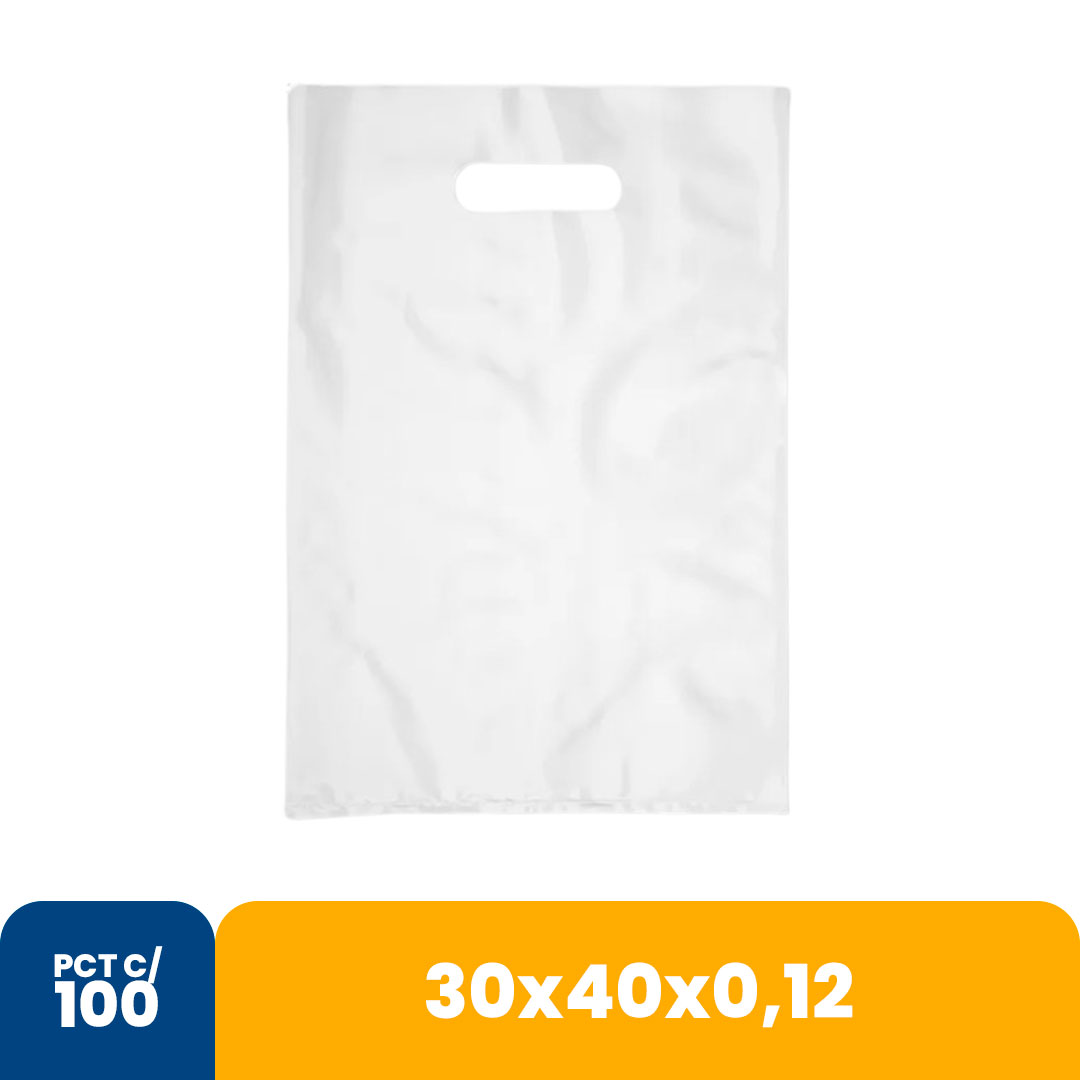 Imagem do produto Sacola Color 30x40x012 Alca Vazada Com 100 - Branco