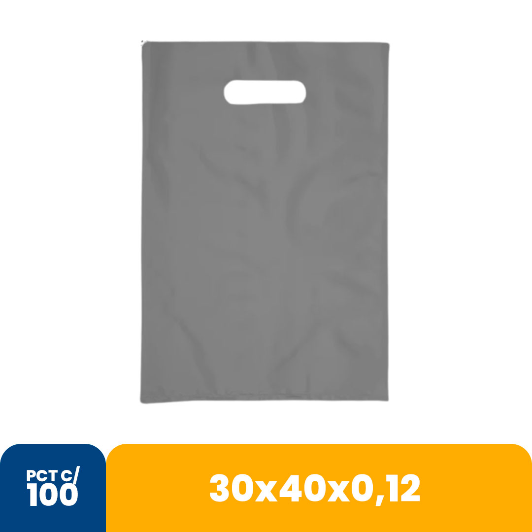 Imagem do produto Sacola Color 30x40x012 Alca Vazada Com 100 - Prata