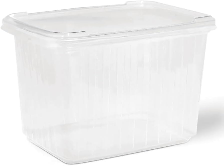 Imagem do produto Pote Retangular S/Tampa 2 lt Rioplastic Cx 160 - Transparente